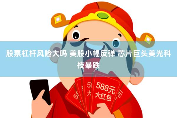 股票杠杆风险大吗 美股小幅反弹 芯片巨头美光科技暴跌