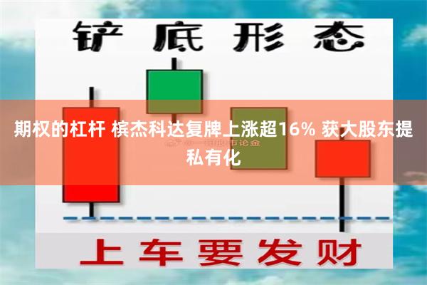 期权的杠杆 槟杰科达复牌上涨超16% 获大股东提私有化