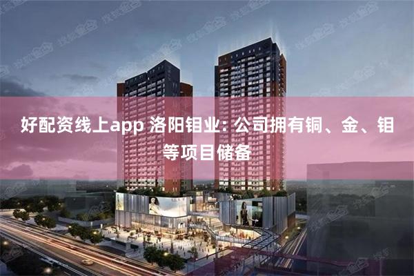 好配资线上app 洛阳钼业: 公司拥有铜、金、钼等项目储备