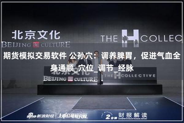 期货模拟交易软件 公孙穴：调养脾胃，促进气血全身通顺_穴位_调节_经脉