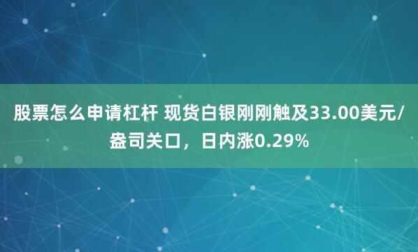 股票怎么申请杠杆 现货白银刚刚触及33.00美元/盎司关口，日内涨0.29%