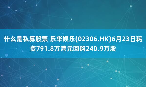 什么是私募股票 乐华娱乐(02306.HK)6月23日耗资791.8万港元回购240.9万股