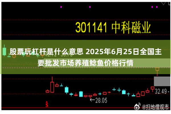 股票玩杠杆是什么意思 2025年6月25日全国主要批发市场养殖鲶鱼价格行情