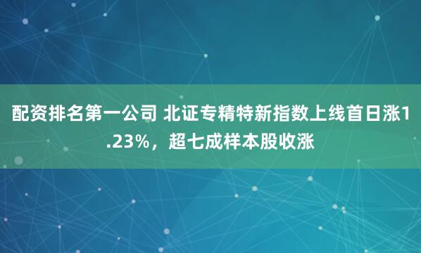 配资排名第一公司 北证专精特新指数上线首日涨1.23%，超七成样本股收涨
