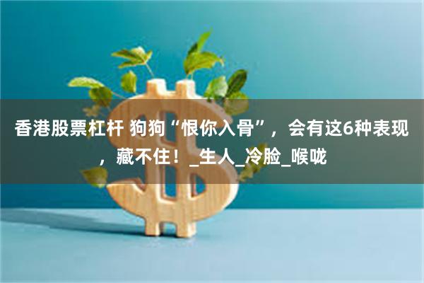 香港股票杠杆 狗狗“恨你入骨”，会有这6种表现，藏不住！_生人_冷脸_喉咙
