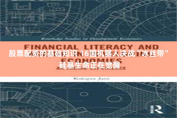 股票配资的基础知识 16国机器人决战“冰丝带” 硅基生命正在觉醒