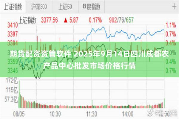 期货配资资管软件 2025年9月14日四川成都农产品中心批发市场价格行情