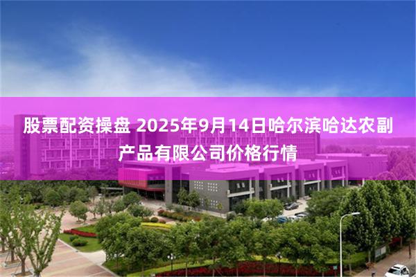 股票配资操盘 2025年9月14日哈尔滨哈达农副产品有限公司价格行情