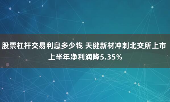 股票杠杆交易利息多少钱 天健新材冲刺北交所上市 上半年净利润降5.35%